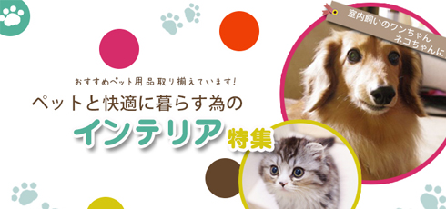 鹿児島 DIY＆リフォームショップREROOM【ペット特集 滑り止め】